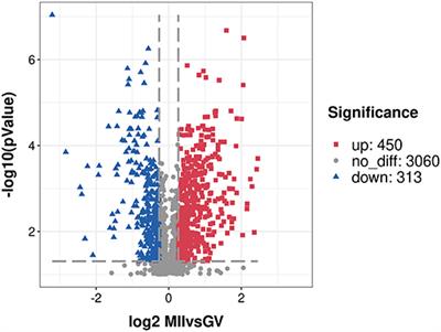 Proteomic Exploration of Porcine Oocytes During Meiotic Maturation in vitro Using an Accurate TMT-Based Quantitative Approach